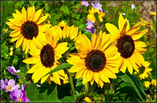 609746 (a): :3200x2090